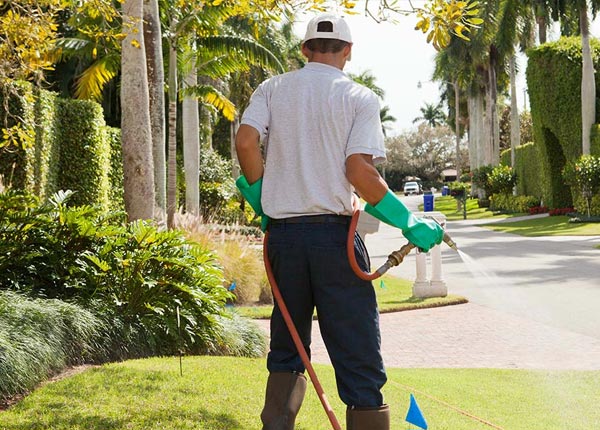 About Moultrie GA Pest Control Pros